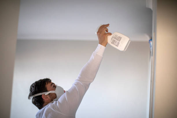 Best Toxic Mold Removal  in Harvey, MI