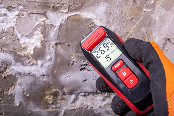 Attic Mold Removal in Harvey, MI