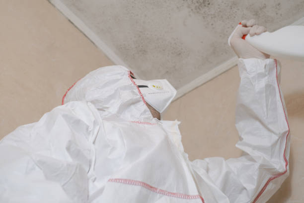 Best Attic Mold Removal  in Harvey, MI