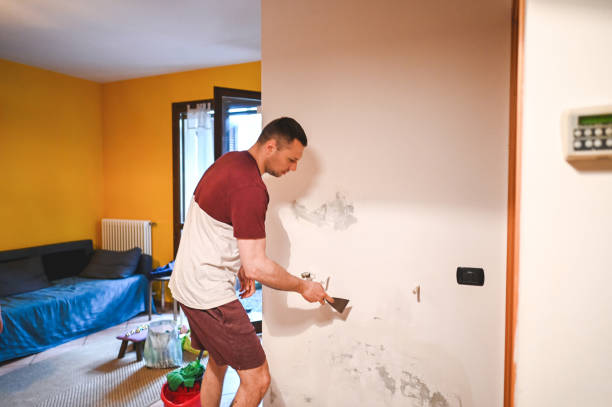 Mold Testing and Removal in Harvey, MI