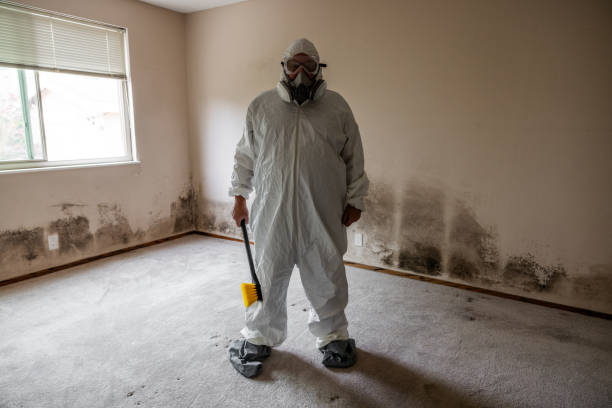 Best Office Mold Removal Services  in Harvey, MI